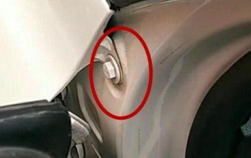 国产网,引领潮流，打造民族互联网新生态