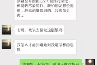 国产113页,深度解析我国科技发展的新篇章