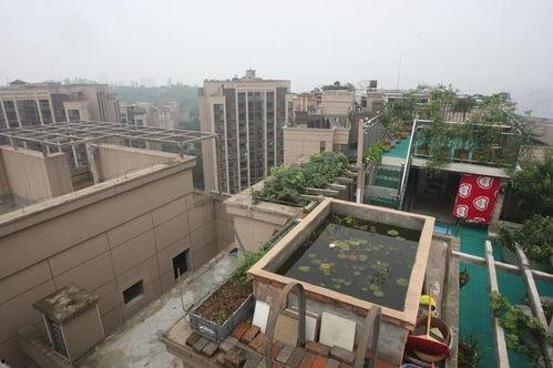 国产乱一区,揭秘国内影视产业的独特魅力与挑战