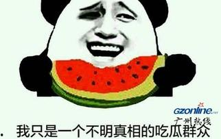 娱乐吃瓜酱专属梗是什么,网络热词背后的趣味与智慧
