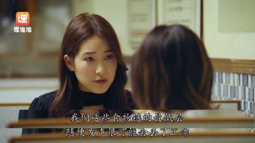 娱乐圈吃瓜宝典小说,揭秘明星背后的秘密与恩怨情仇